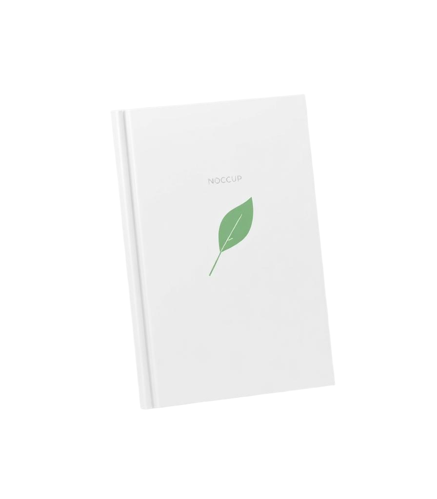 Aperçu du livre blanc Panacée